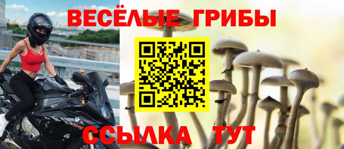 Галлюциногенные грибы прущие грибы  магазин продажи   Геленджик  Вход с VPN 